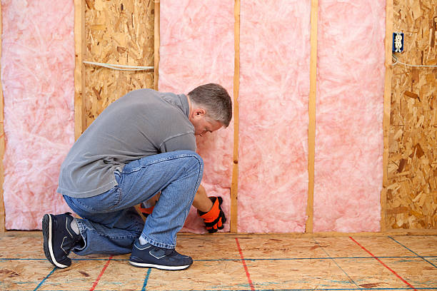 Eco-Friendly or Green Insulation Solutions in Burlington, CO