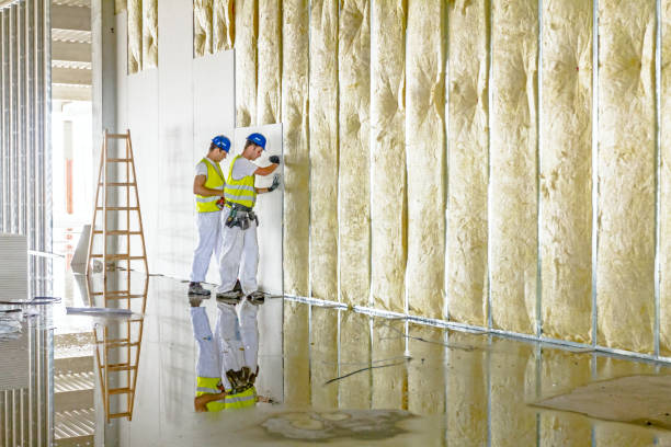 Reliable Burlington, CO Insulation Installation & Removal Solutions